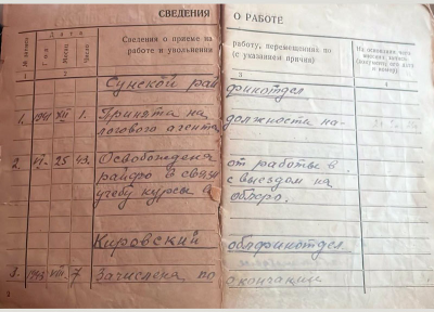 Трудовая книжка стр. 2-3