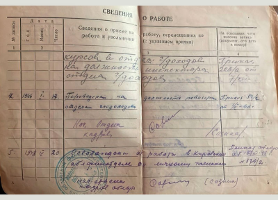 Трудовая книжка стр. 4-5