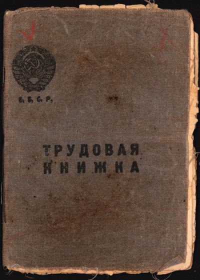Трудовая книжка Бобрикова И.И.
