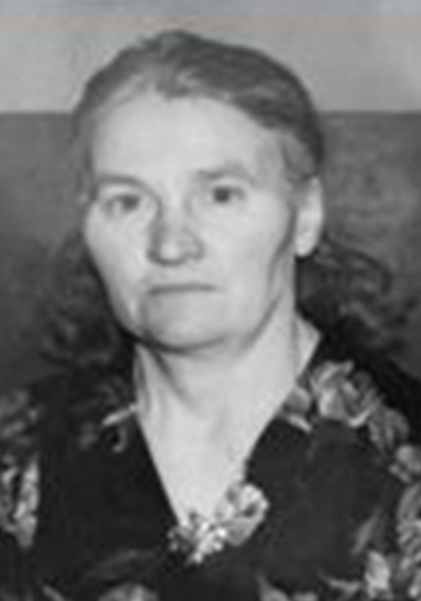 Истории и судьбы