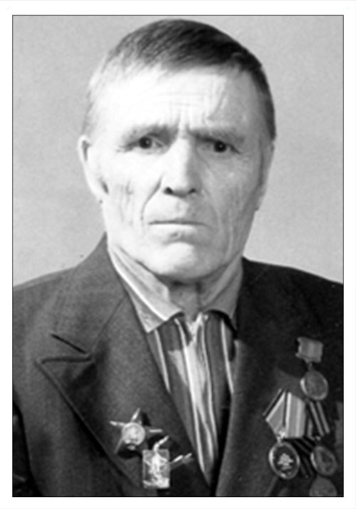 Шипачёв Николай Степанович