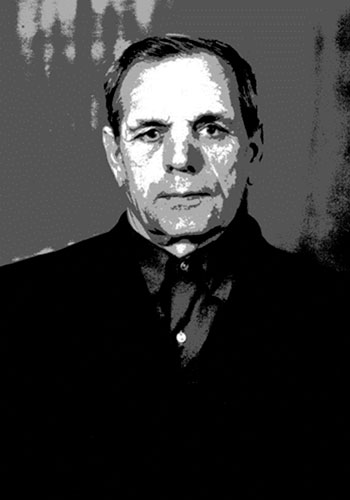 Стерликов Дмитрий Егорович