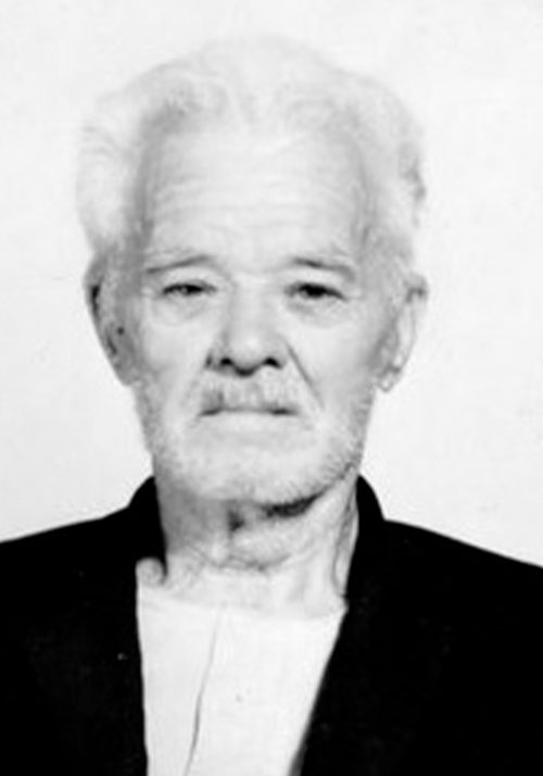 Васичев Степан Яковлевич